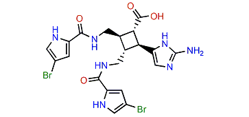 Nakamuric acid